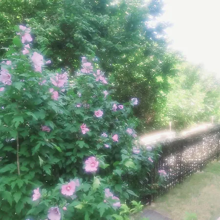 Apartment Saint Nicholas Lovely 2 Bedroom With Sunny Garden *